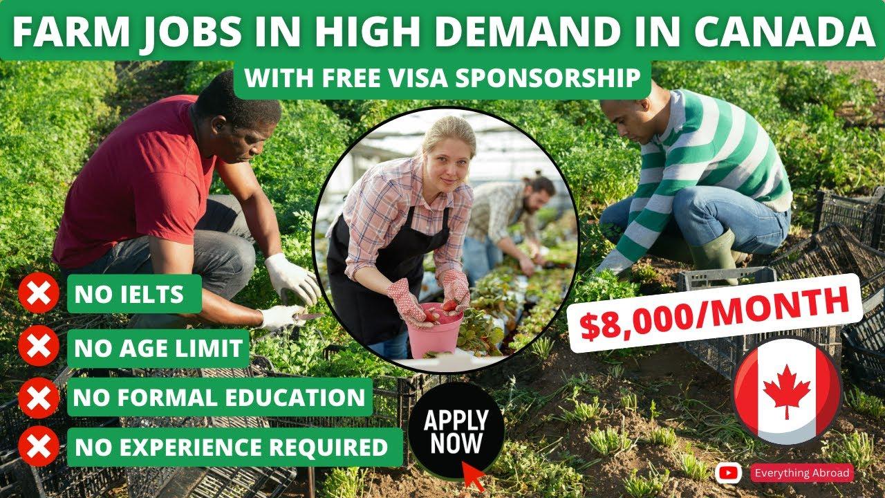 Passport To Opportunity: Farm Jobs In Canada With Visa Sponsorship - Jobiz